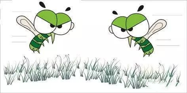 秋蚊子格外猛、特別毒，疾控專家教您如何防蚊蟲(chóng)