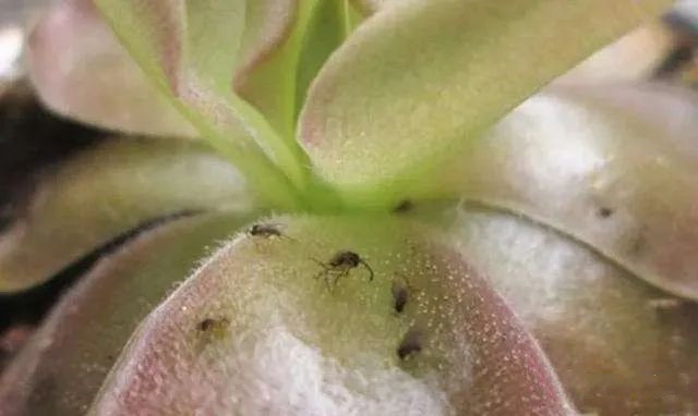 1678765940850761.jpg 3.jpg