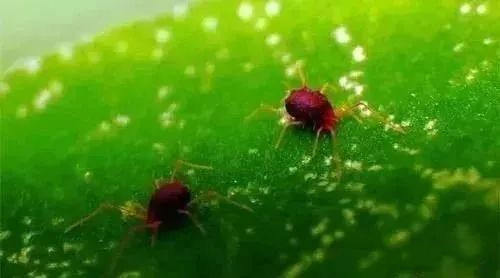 1678766538102876.jpg 3.jpg